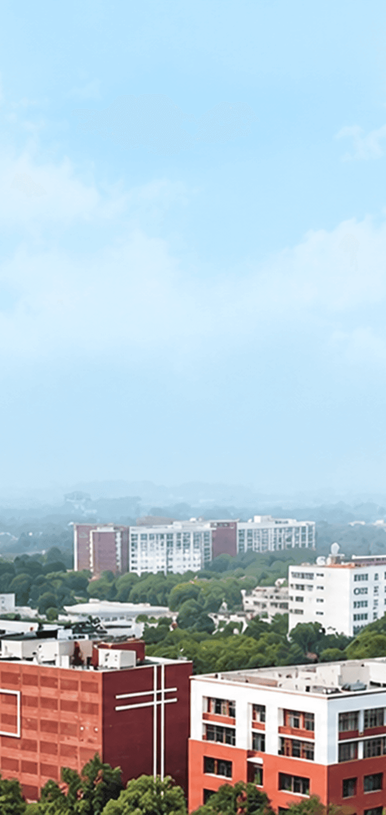 Chandigarh University Online degree programs
